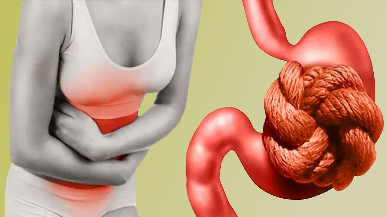 Digestive & Gut Health